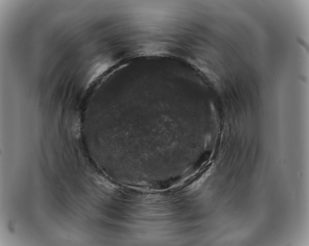 X0000097791306200803141820