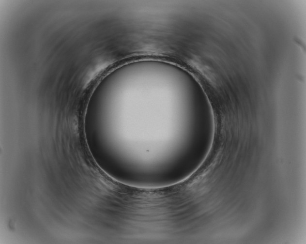 X0000097791307200803141820