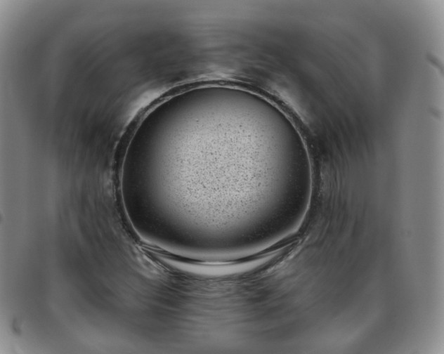 X0000097791308200803141820