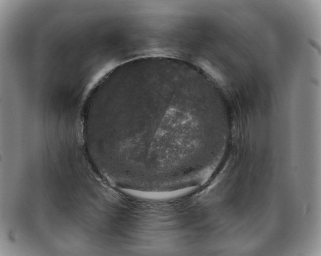 X0000097791310200803141820