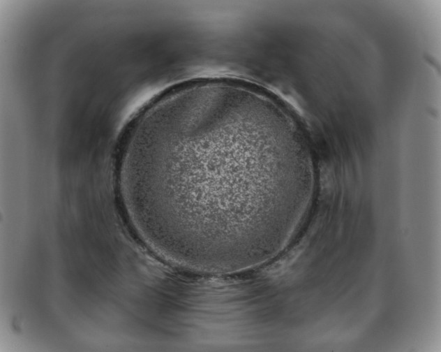 X0000097791311200803141820