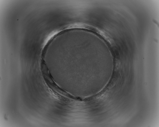 X0000097791312200803141820