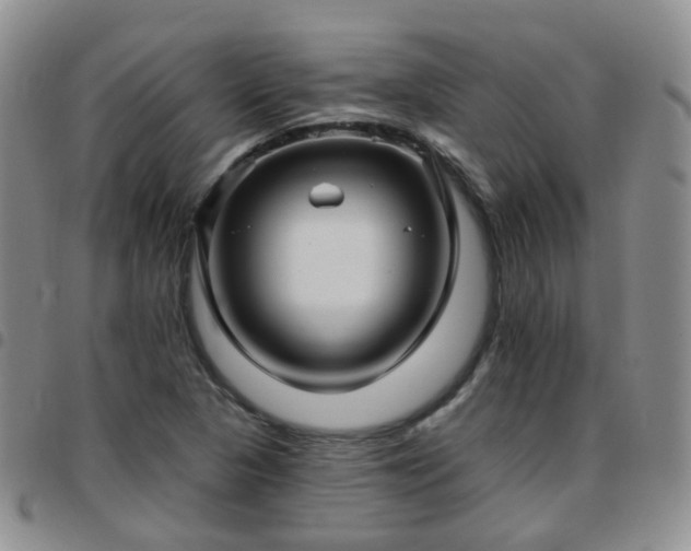 X0000097791313200803141820