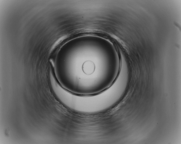 X0000097791314200803141820