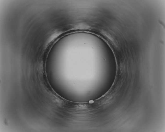 X0000097791315200803141820