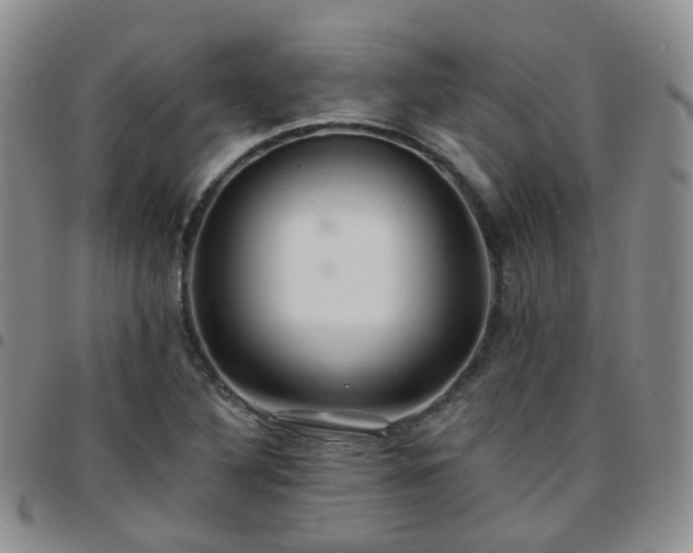 X0000097791316200803141820