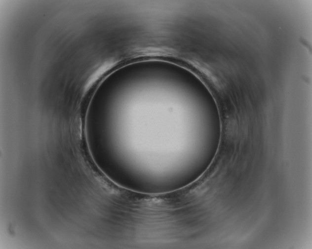 X0000097791317200803141820