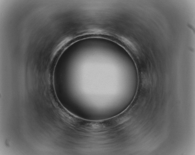 X0000097791318200803141820