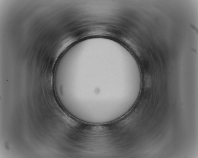 X0000097791322200803141820