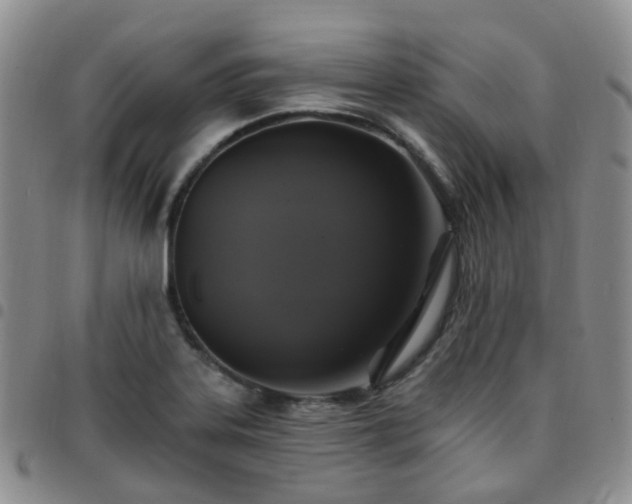 X0000097791323200803141820