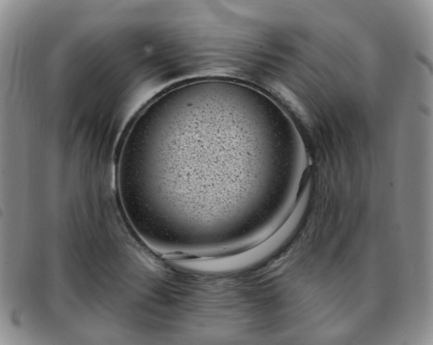 X0000097791324200803141821