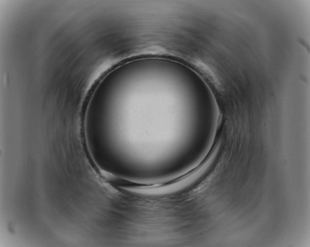 X0000097791326200803141821
