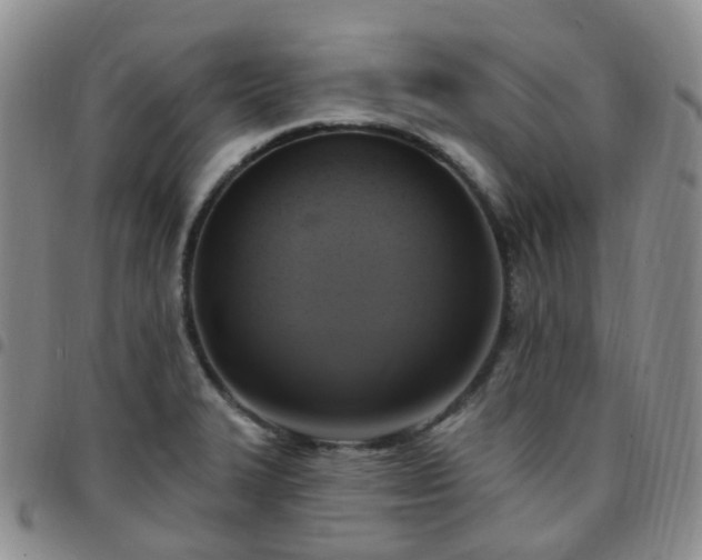 X0000097791327200803141821