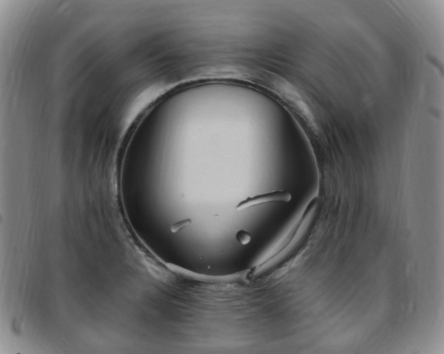 X0000097791328200803141821