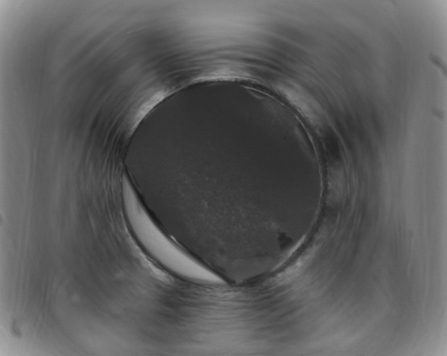X0000097791329200803141821
