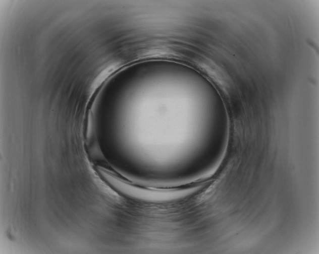 X0000097791330200803141821