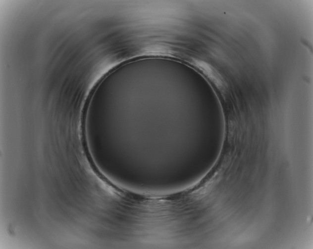 X0000097791331200803141821