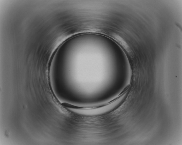 X0000097791332200803141821