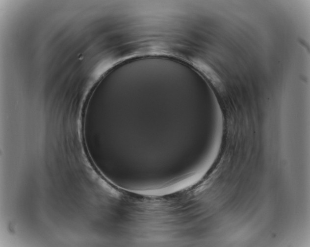 X0000097791334200803141821