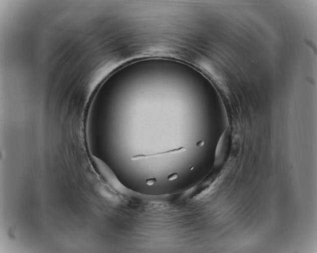 X0000097791336200803141821