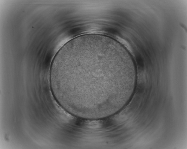 X0000097791338200803141821