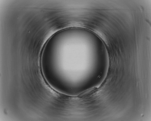 X0000097791339200803141821