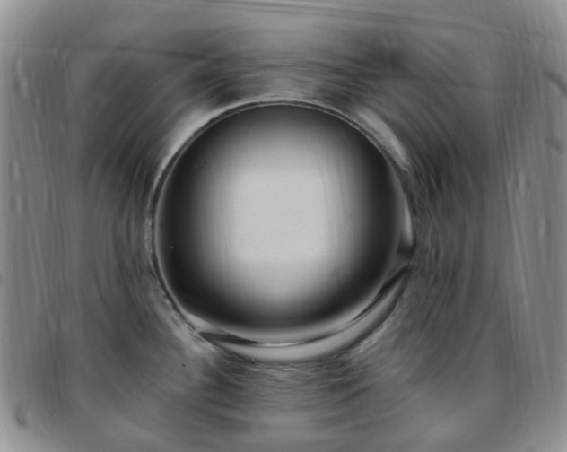 X0000097791340200803141821