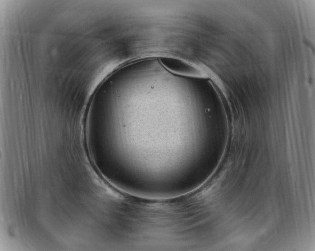 X0000097791341200803141821