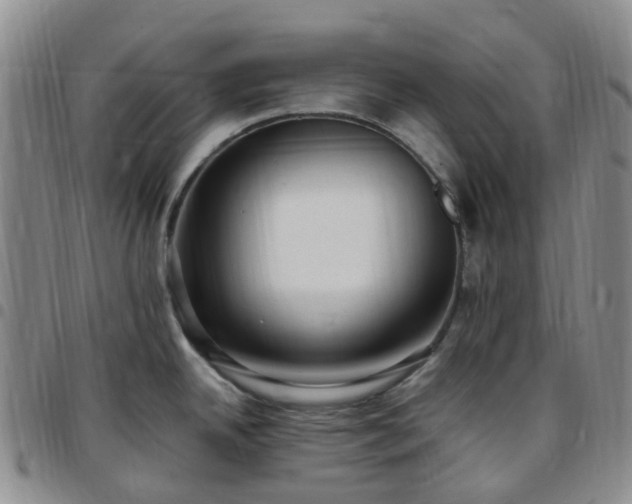 X0000097791342200803141821