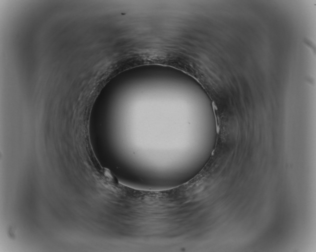 X0000097791345200803141820