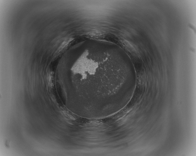 X0000097791346200803141820