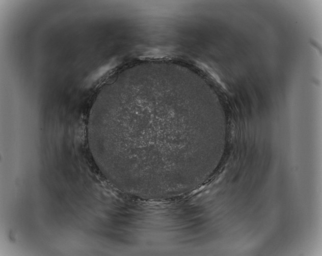 X0000097791350200803141820