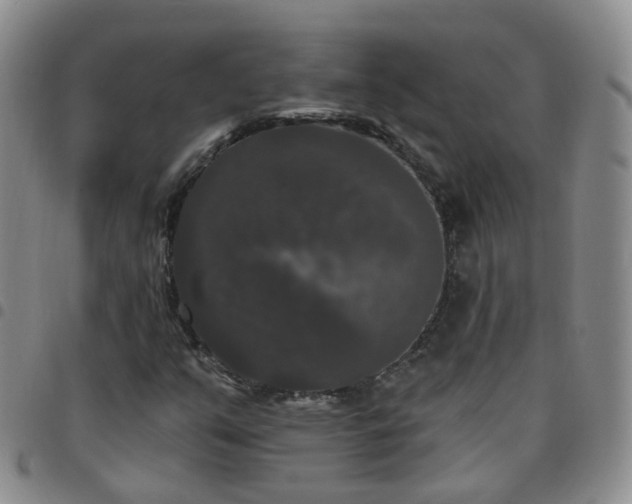 X0000097791351200803141820