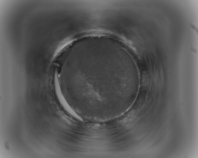 X0000097791352200803141820