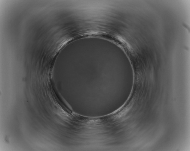 X0000097791353200803141820