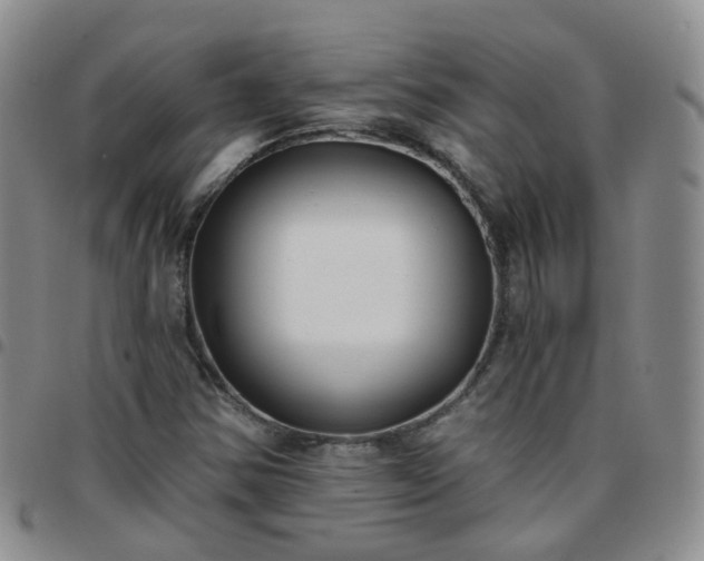 X0000097791354200803141820
