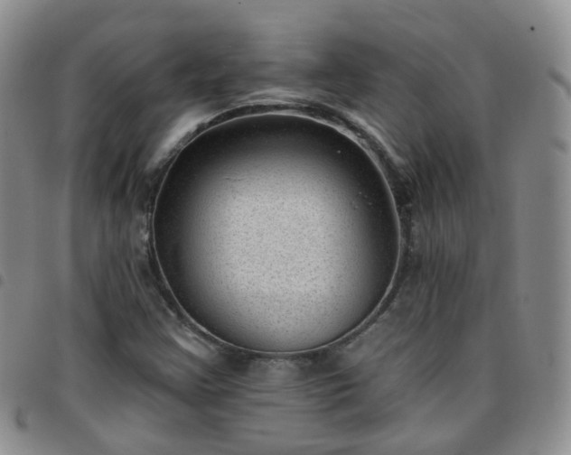 X0000097791355200803141820