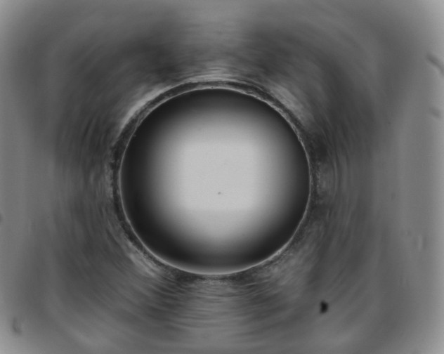 X0000097791356200803141820