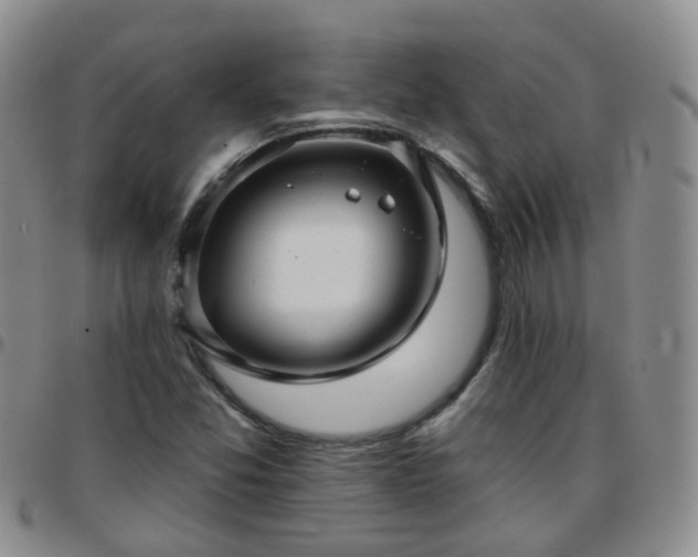 X0000097791357200803141820