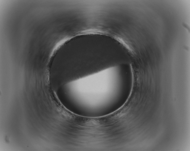 X0000097791358200803141820