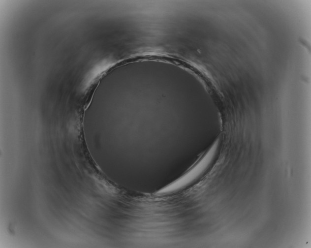 X0000097791359200803141820