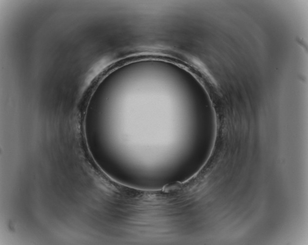 X0000097791360200803141820