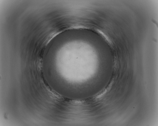 X0000097791361200803141820