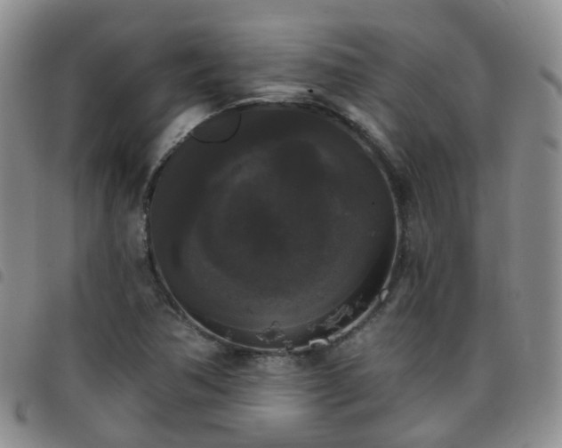 X0000097791362200803141820