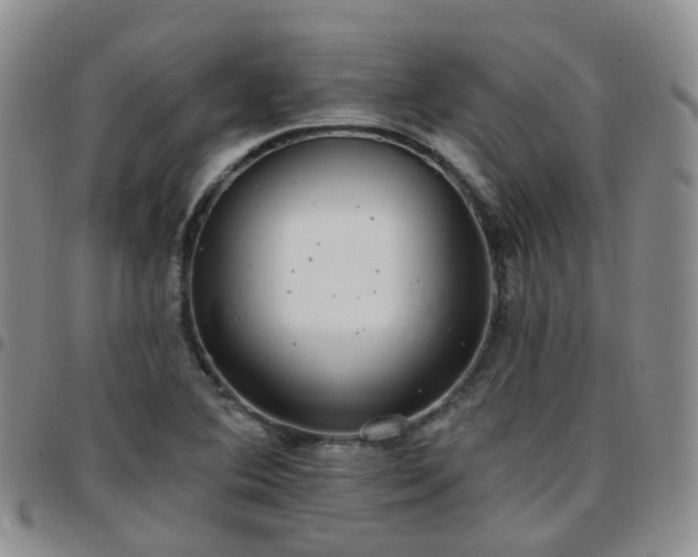 X0000097791364200803141820