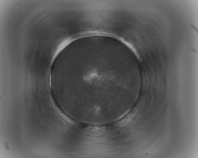X0000097791365200803141820