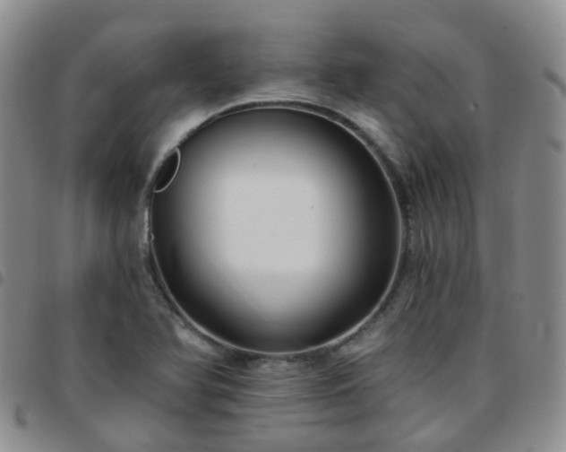 X0000097791366200803141820