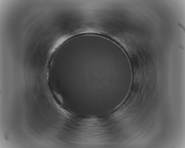X0000097791367200803141820