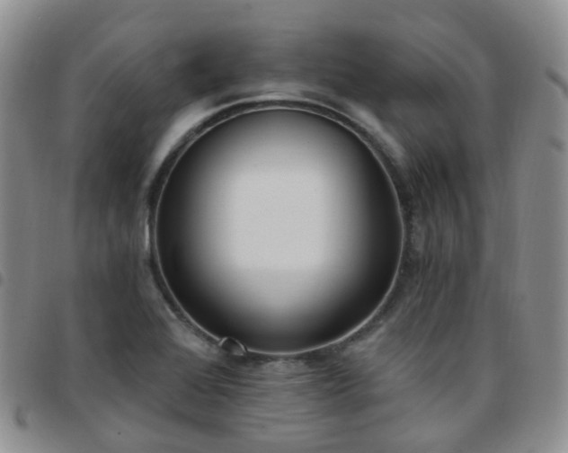 X0000097791368200803141820