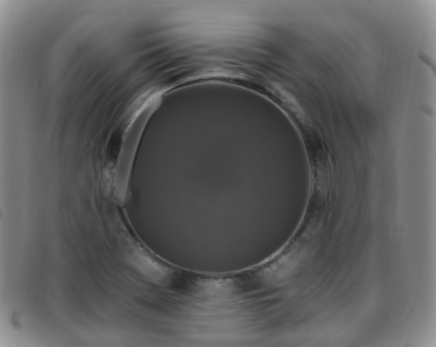 X0000097791369200803141820